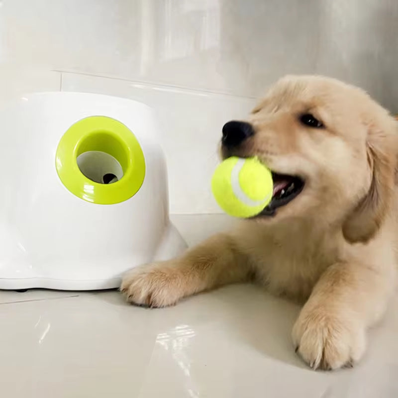 Automatic Dog Ball Launcher – Tennis Ball Throwing Toy for Active Playtime